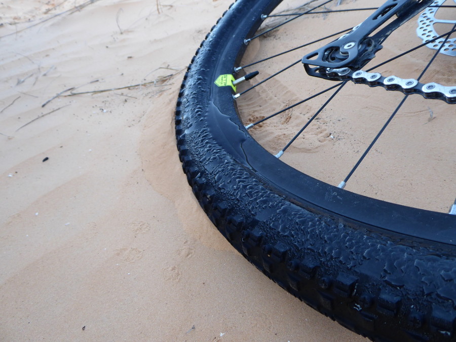 Jutranja rosa v puščavi