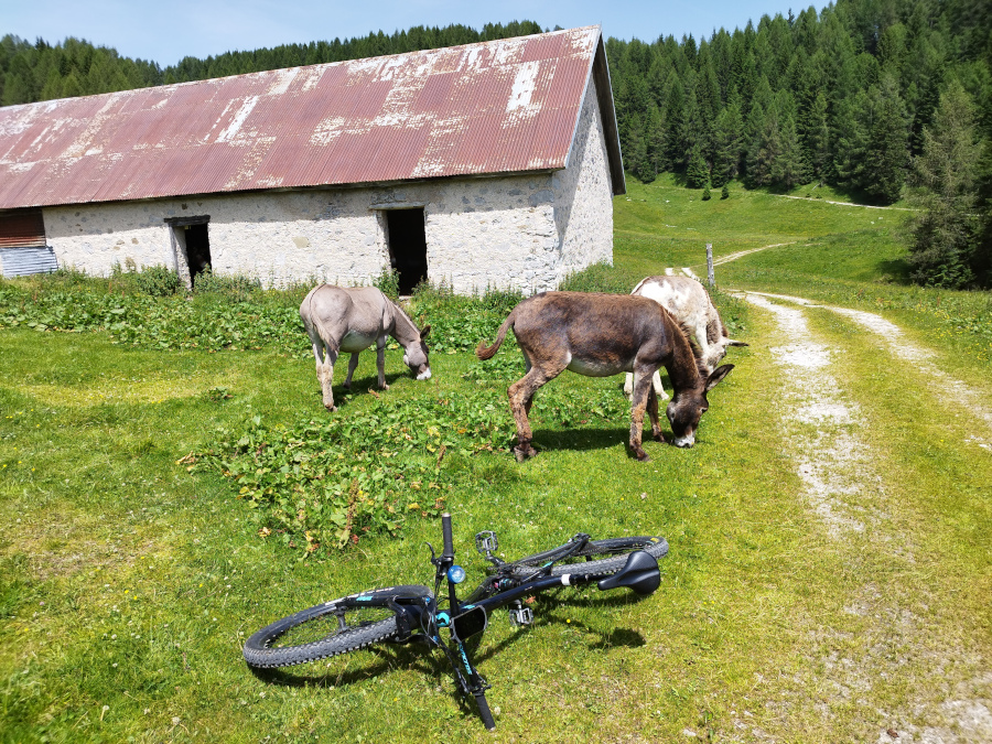 Malga di San Leopoldo
