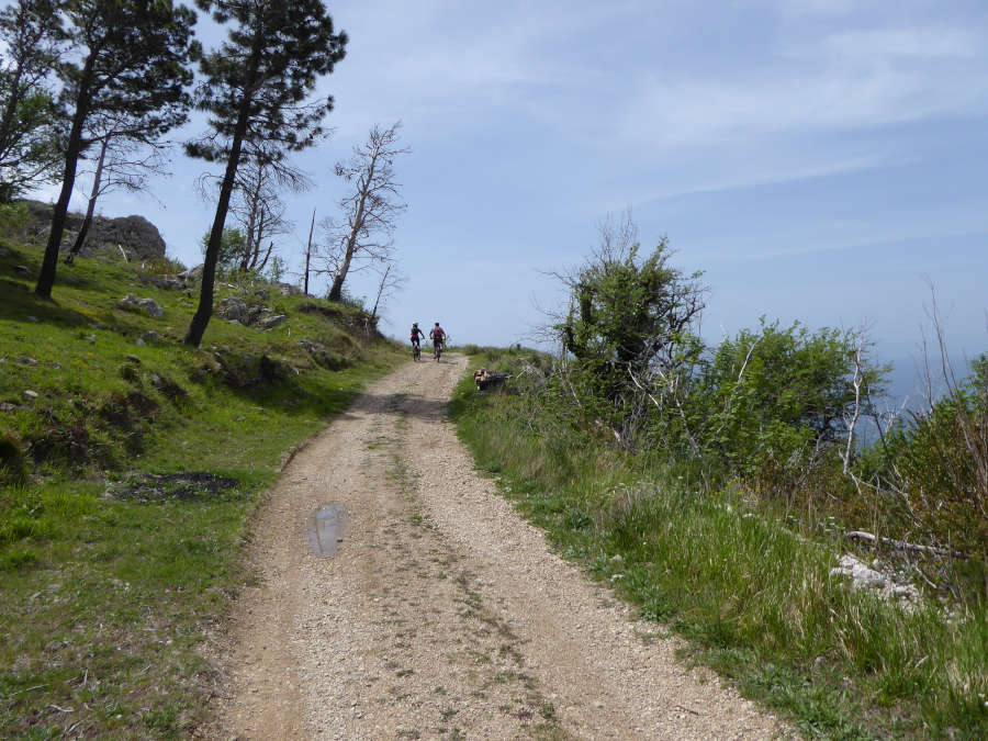 Proti Spomeniku Galebova krila