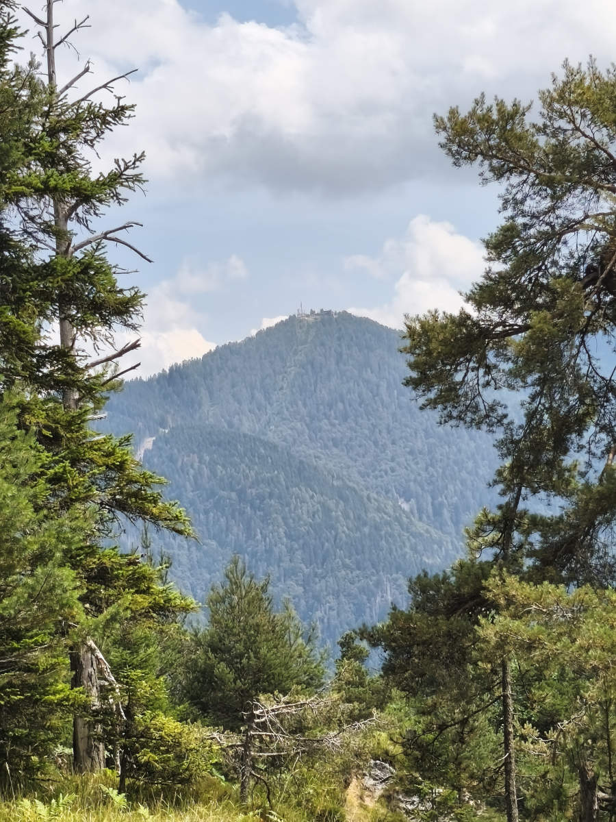 Višarje
