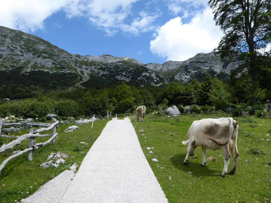 Zadnji vzpon na Razor