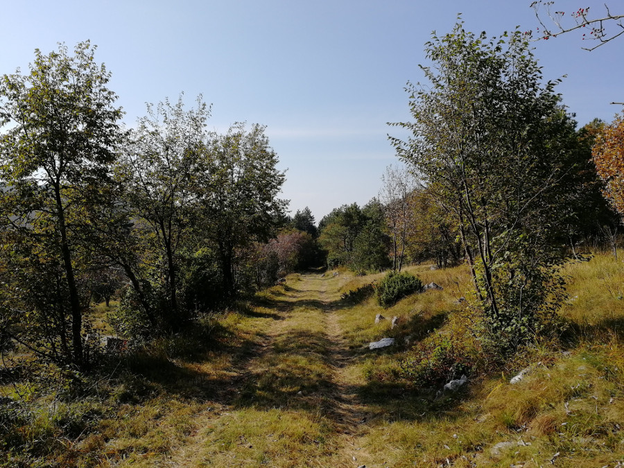 Pot ovinka