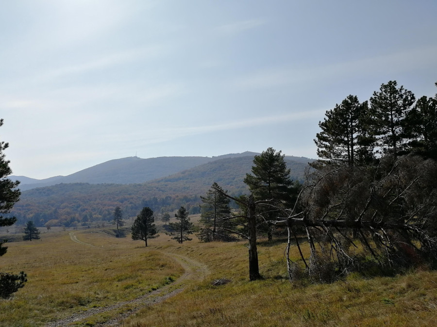 Planina Jegna