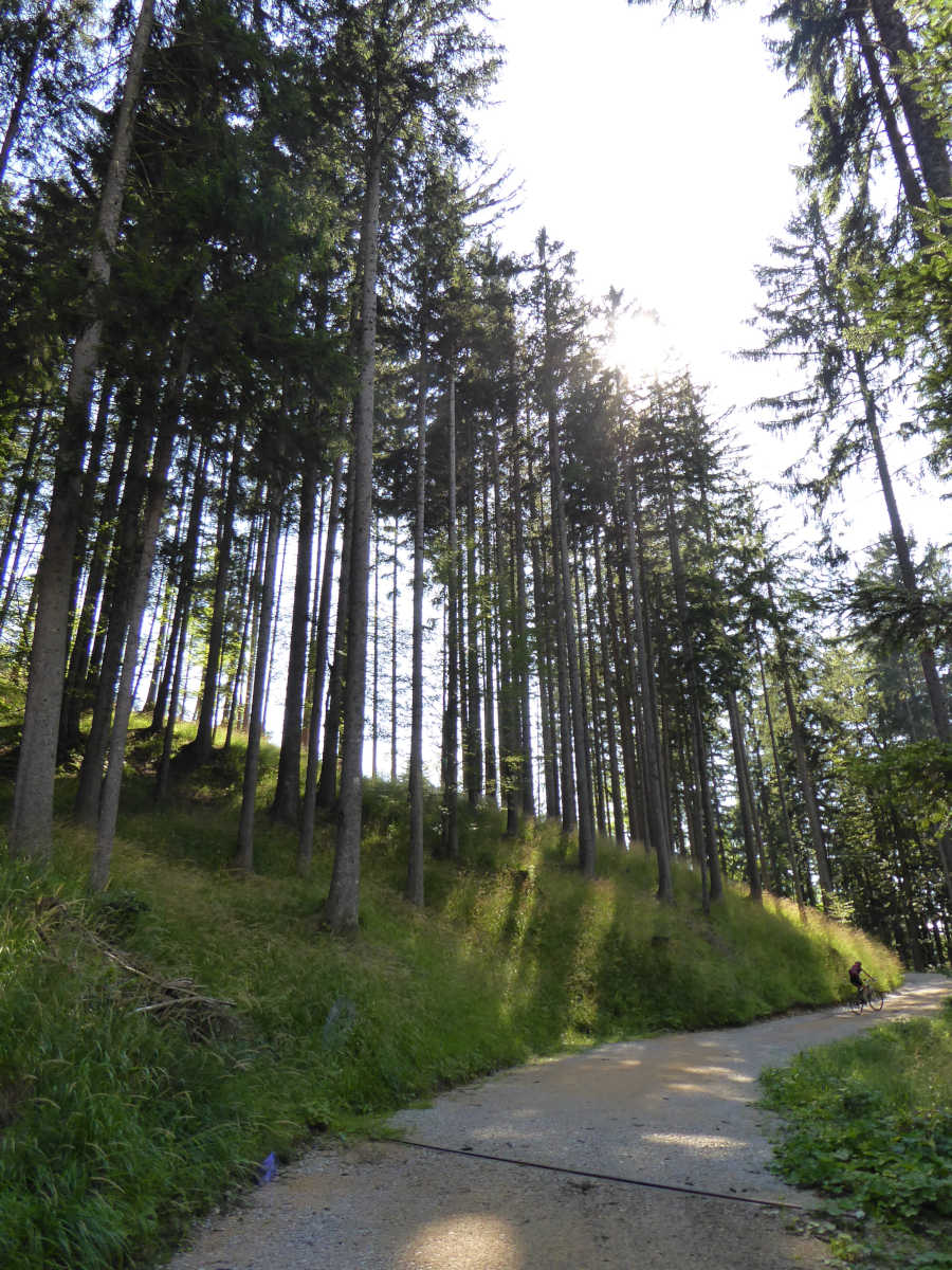 Proti Smokuškemu vrhu